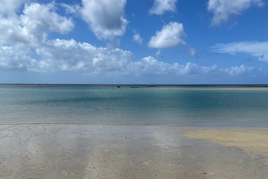 画像に alt 属性が指定されていません。ファイル名: 0001_%E3%82%A2%E3%83%A9%E3%83%8F%E3%83%93%E3%83%BC%E3%83%81_Blog-1024x683.png